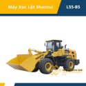 Máy xúc lật Shantui L55-B5