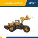 Xe nâng đá SDLG LFT30F