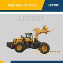 Xe nâng đá SDLG LFT30F