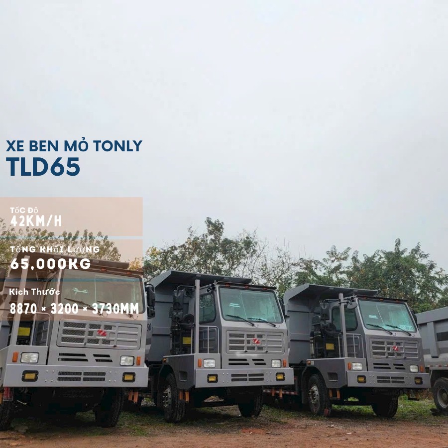 xe ben mo tonly tld65 6